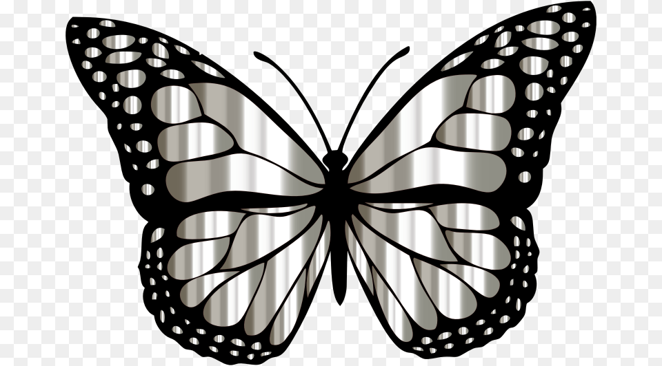 Medium Image Butterfly Images Clip Art Black And White, Animal, Insect, Invertebrate, Stencil Free Png