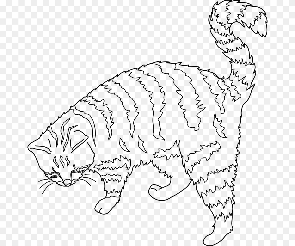 Medium Cat Outline, Gray Png Image