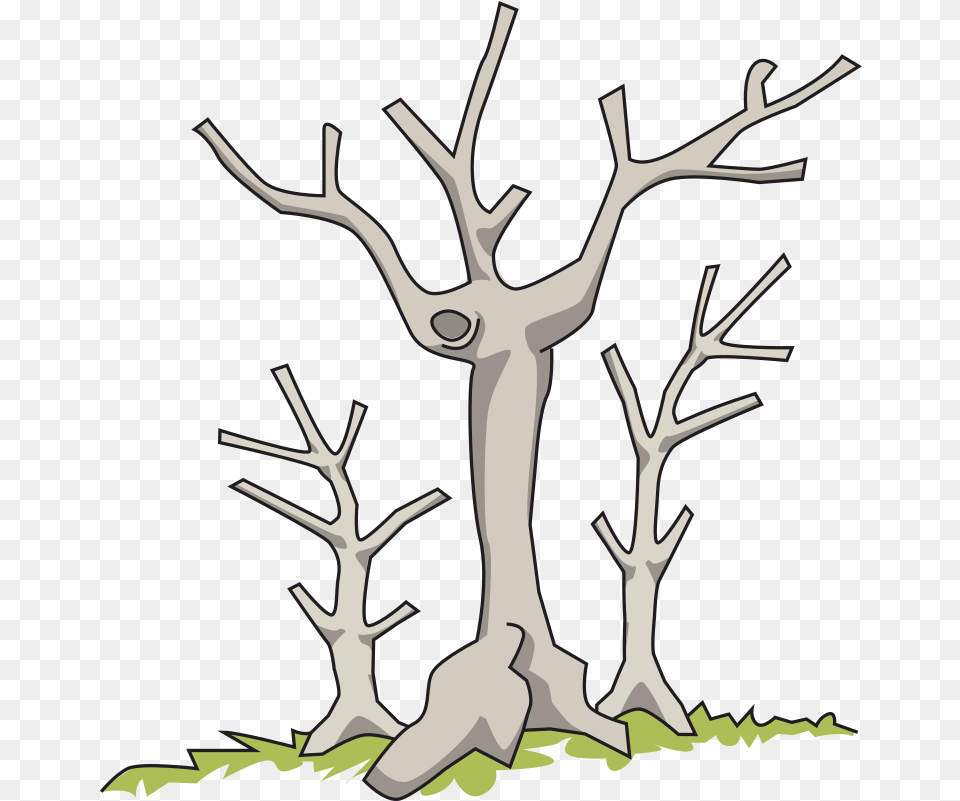 Medium Image Dead Trees Clip Art, Antler, Animal, Deer, Mammal Png