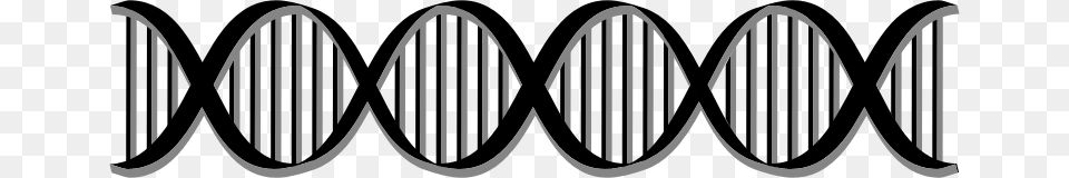 Medium Image Dna Helix Black And White Free Transparent Png