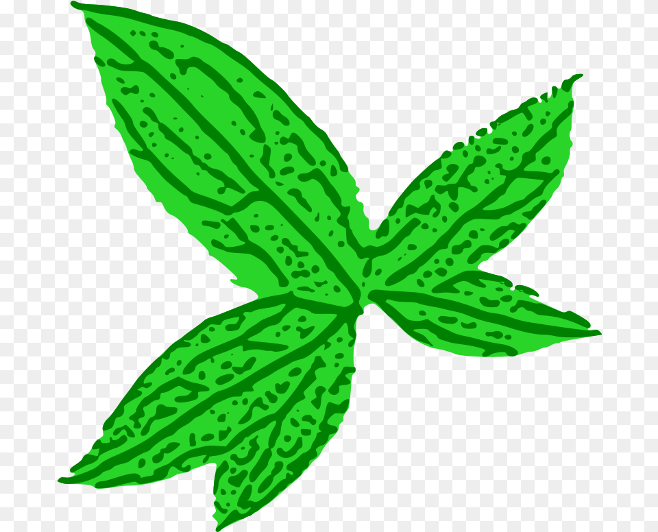 Medium Green Leaf Clip Art, Herbs, Mint, Plant, Animal Png Image