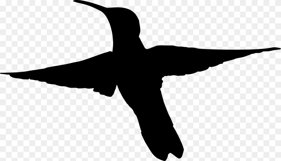 Medium Image Hummingbird Silhouette, Gray Png