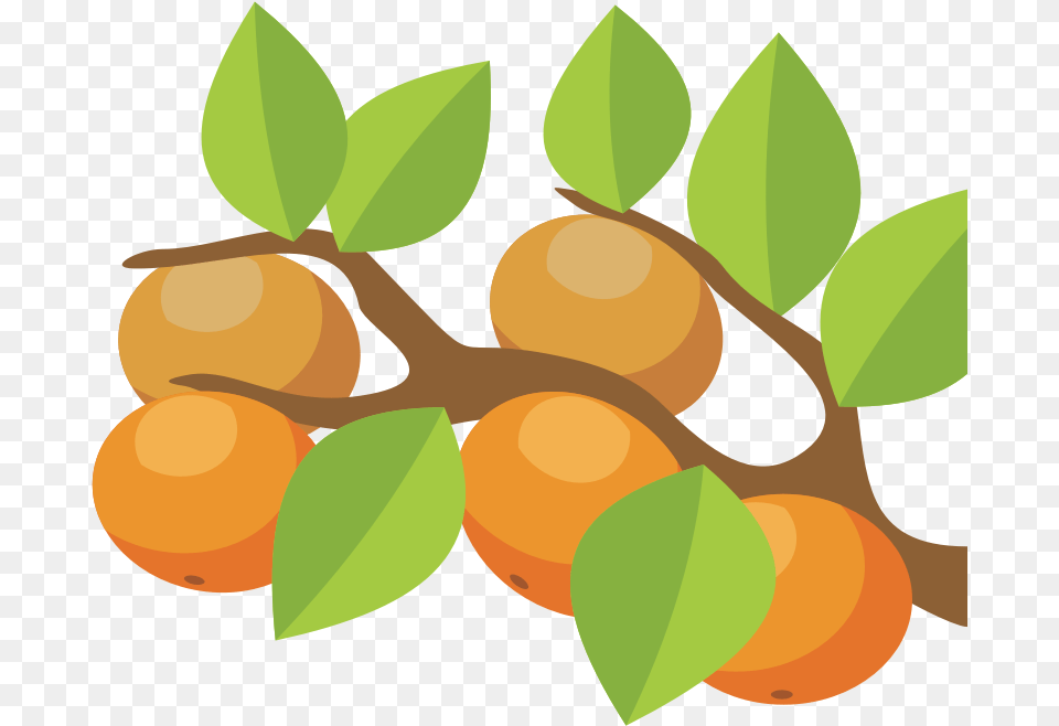 Medium Image Orange Tree Clipart, Food, Fruit, Plant, Produce Free Png Download