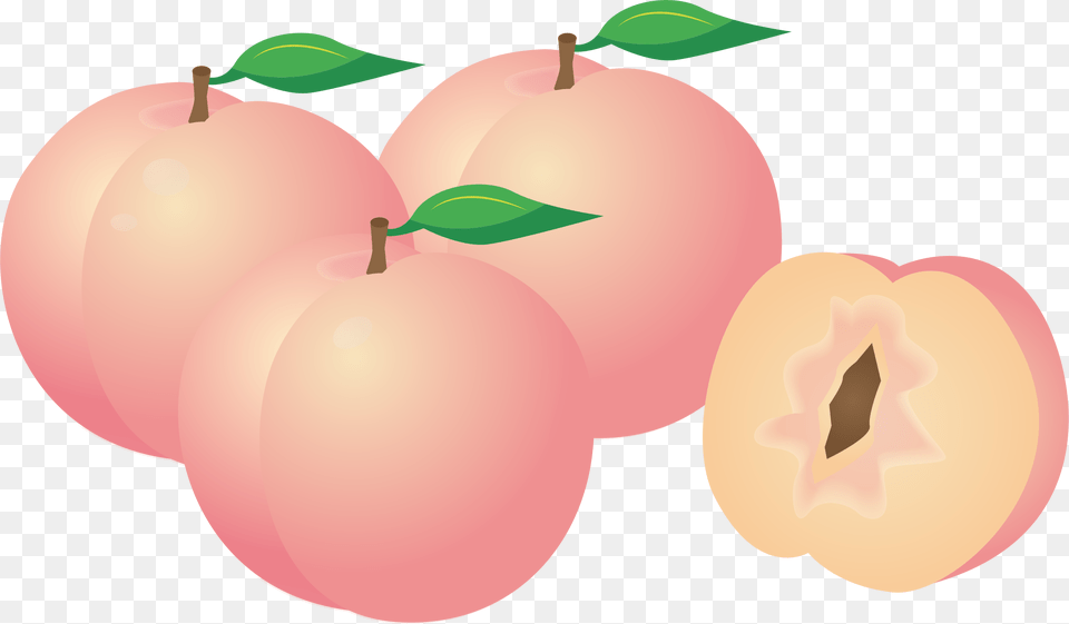 Medium Image Peaches Clipart, Food, Fruit, Plant, Produce Free Png Download