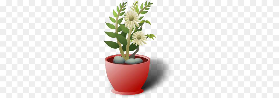 Medium Image Plants Clip Art, Daisy, Plant, Flower, Potted Plant Free Png