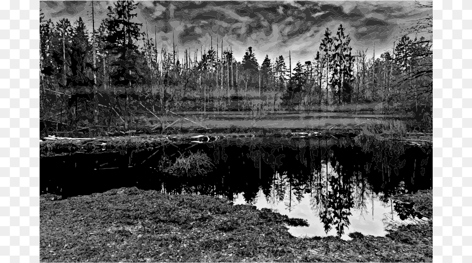 Medium Monochrome, Water, Tree, Pond, Plant Free Png