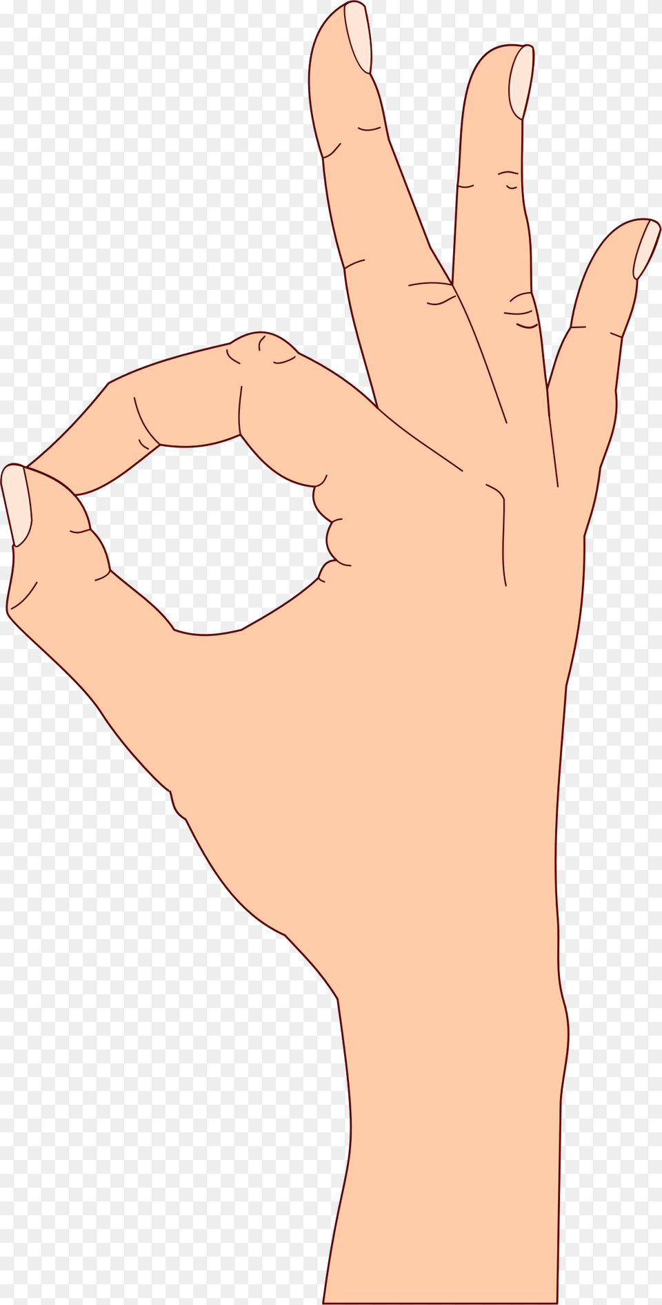Medium Ok Hand Clipart, Body Part, Finger, Person, Adult Png Image