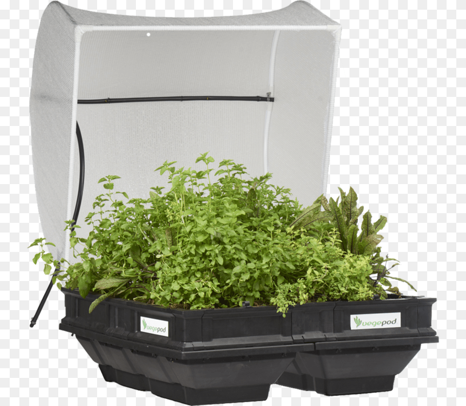 Medium Raised Garden Bed With Cover Vegepod, Vase, Pottery, Herbal, Herbs Free Transparent Png