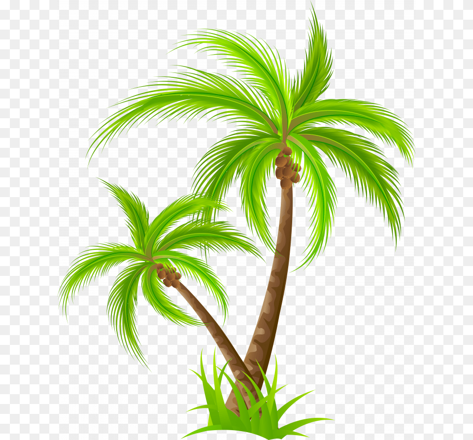Medium Size Of Christmas Tree Palm Tree Clipart, Palm Tree, Plant, Leaf, Vegetation Png