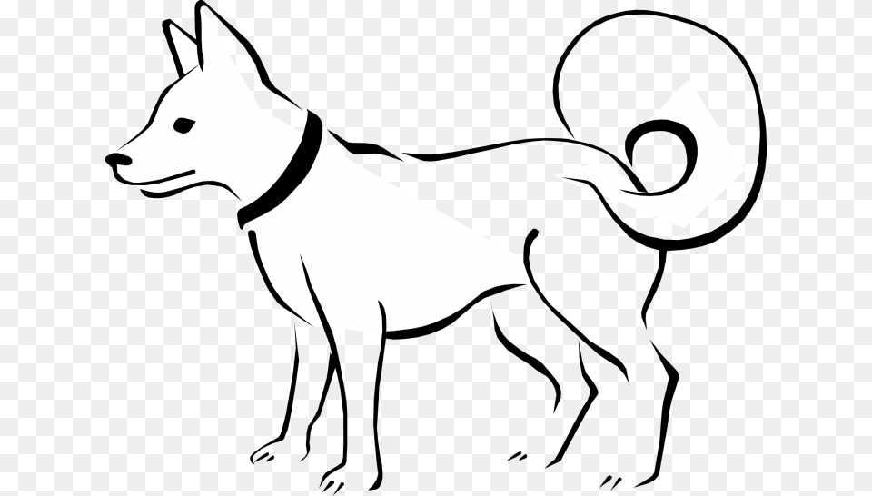 Medium Size Of How To Draw A Dog Bone In Illustrator, Stencil, Animal, Bear, Mammal Free Transparent Png