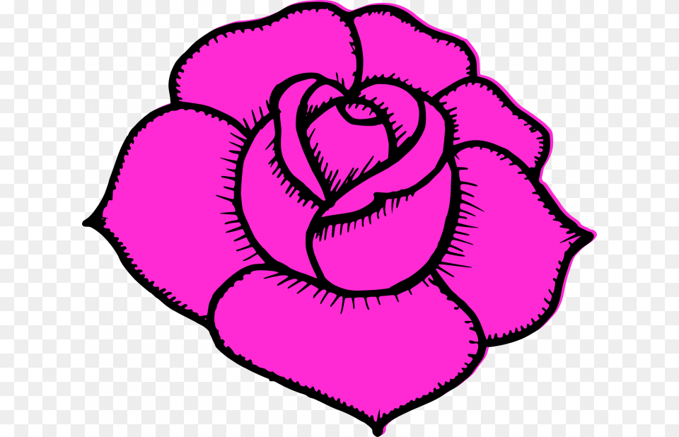 Medium Size Of How To Draw A Simple Tudor Rose Outline Simple Drawings Flowers Rose, Carnation, Flower, Plant, Purple Png