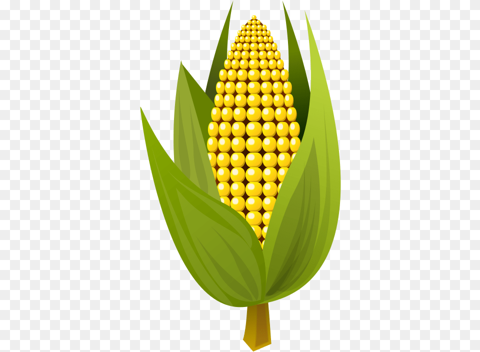 Medium Small Picture Of Corn, Produce, Food, Grain, Plant Free Png Download