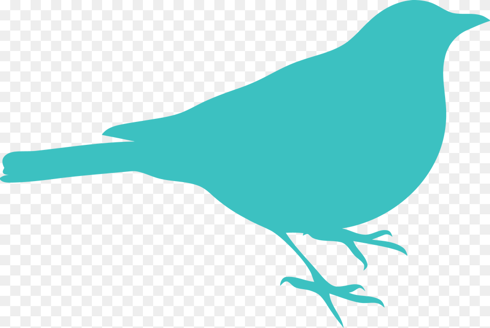 Medium Turquoise Bird Clipart Red Bird Silhouette, Animal, Blackbird, Fish, Jay Free Png Download