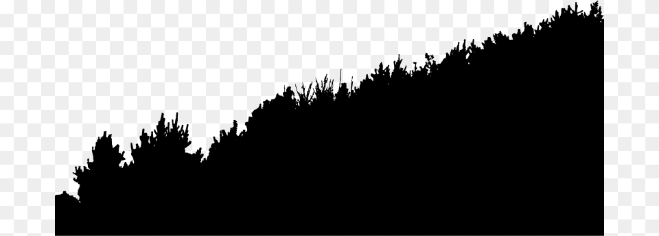 Medium Vegetation Silhouette, Gray Png Image