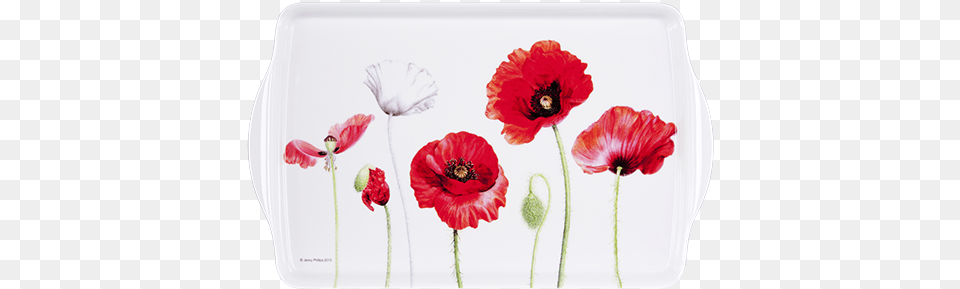 Mediumtray Australianwarmemorial Poppies P Ashdene Cork Backed Placemats With Holder, Flower, Plant, Anemone, Petal Png