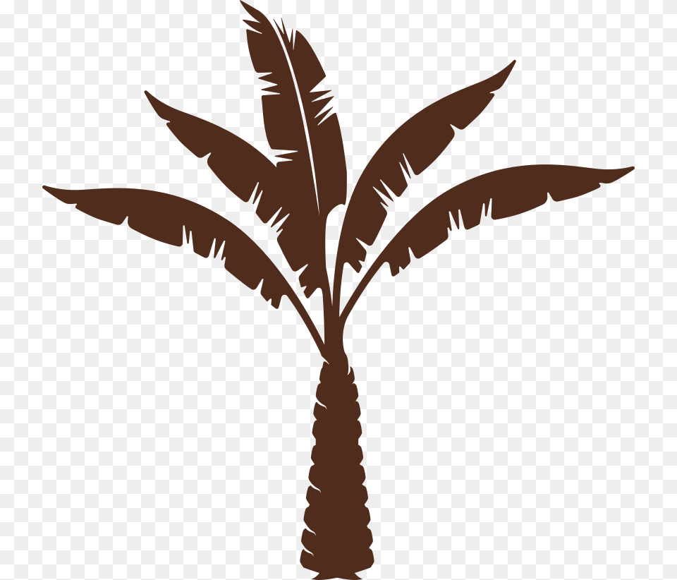 Medjool, Palm Tree, Plant, Tree, Person Png Image