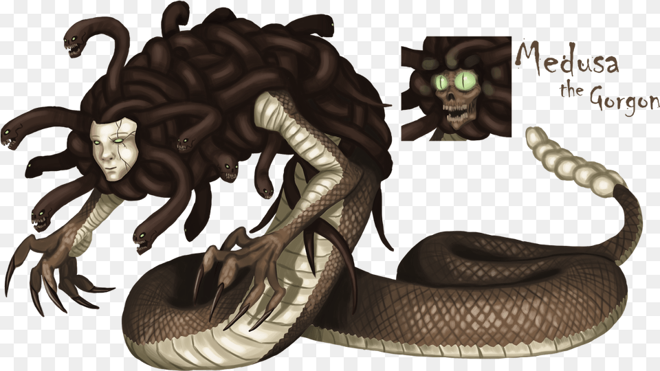 Medusa Monster, Face, Head, Person, Animal Png Image