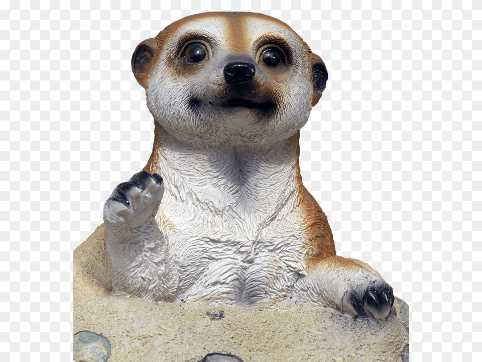 Meerkat Animal, Mammal, Monkey, Wildlife Png