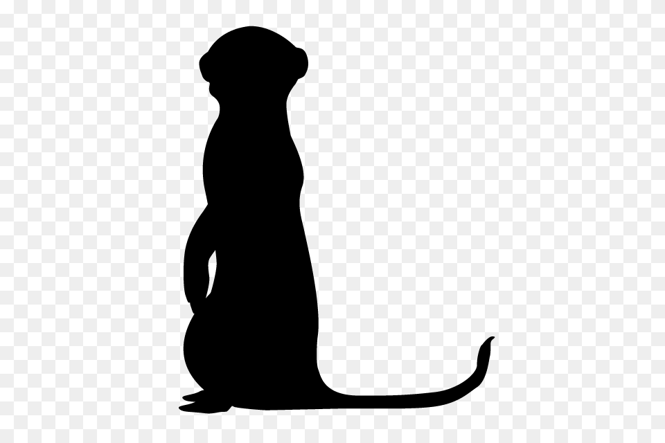 Meerkat Animal Silhouette Free Illustrations, Gray Png