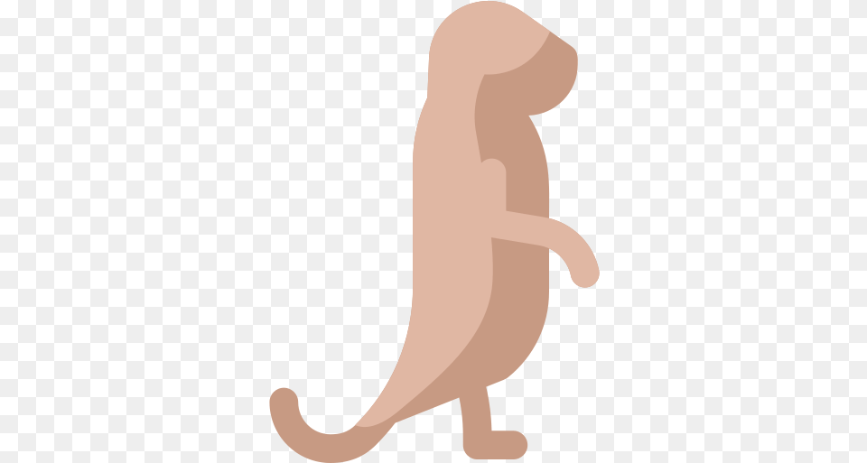 Meerkat Animals Icons Illustration, Animal, Baby, Person, Mammal Free Transparent Png