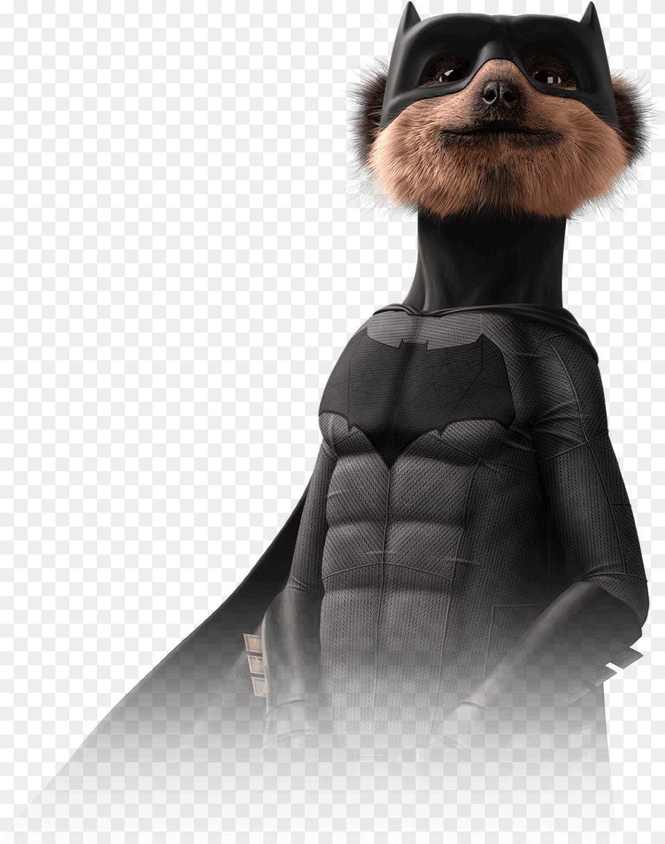 Meerkat Batman Download Batman Meerkat, Adult, Female, Person, Woman Free Png