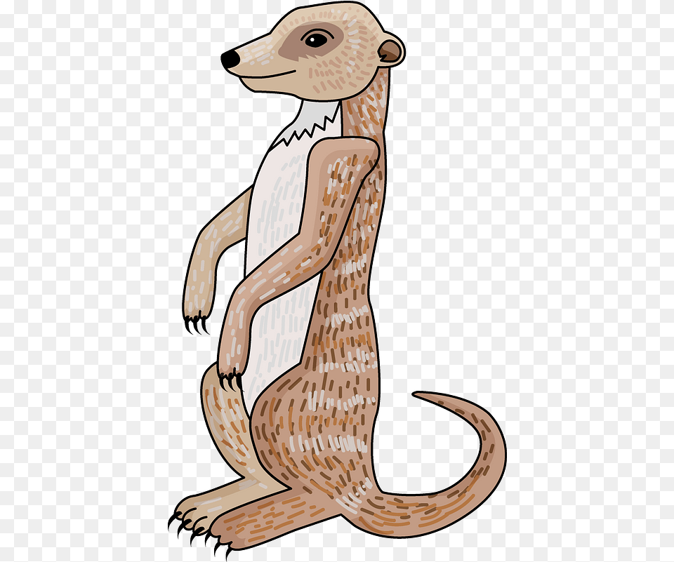 Meerkat Clipart Animal Figure, Wildlife, Mammal, Fish, Sea Life Png