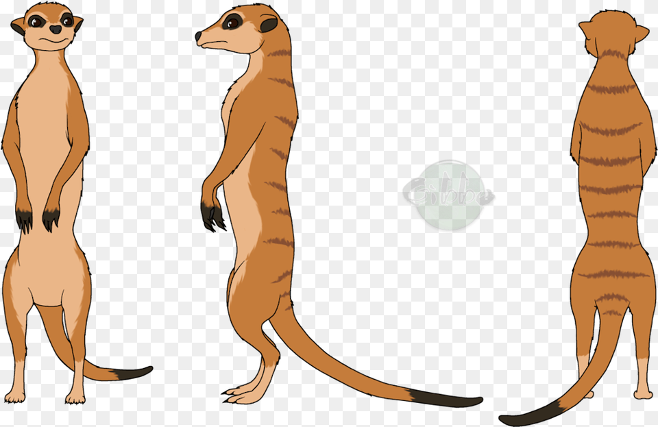 Meerkat Clipart Clip Art Meerkat Clipart, Adult, Person, Woman, Female Free Transparent Png