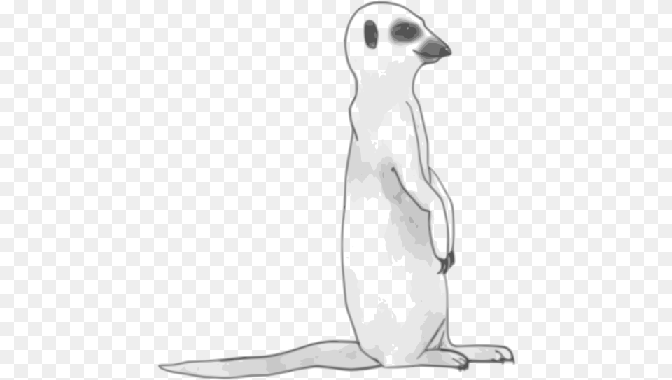 Meerkat Clipart Meerkat, Animal, Adult, Bride, Female Png Image