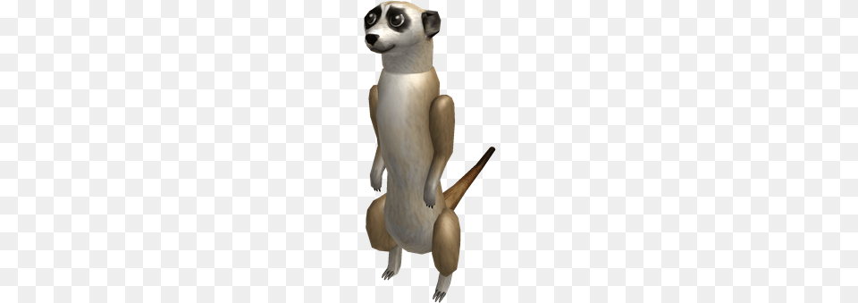 Meerkat Horde Meerkat, Animal, Mammal, Wildlife, Adult Png Image