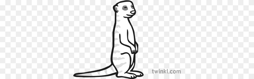 Meerkat Icon Black And White Meerkat Black And White, Animal, Wildlife, Mammal, Dog Free Transparent Png