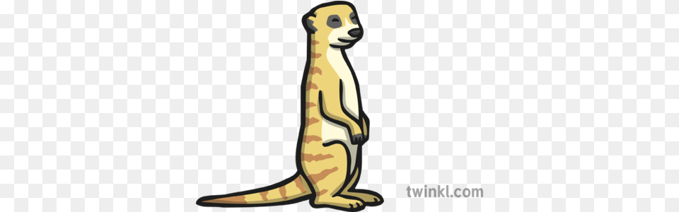 Meerkat Icon Illustration Meerkat Black And White, Animal, Wildlife, Mammal, Bear Png