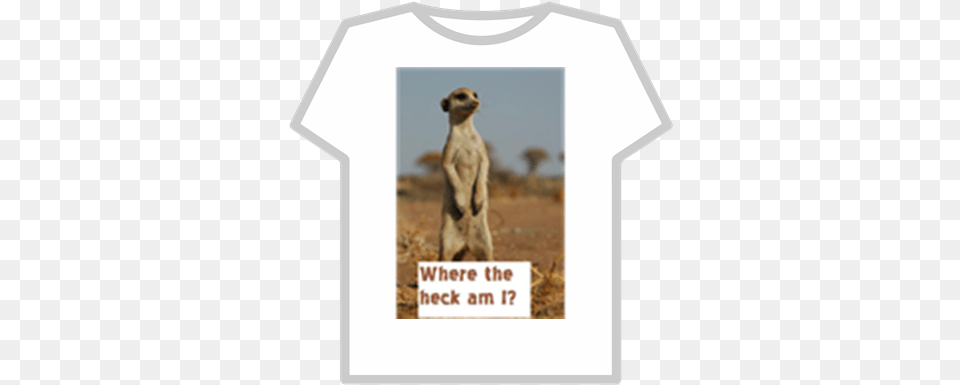 Meerkat Madness Roblox Denis Roblox T Shirt, Animal, Mammal, Wildlife, Canine Free Png