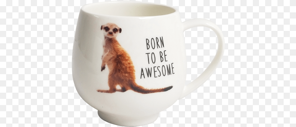Meerkat Mug 9cm, Cup, Animal, Mammal, Rat Png Image
