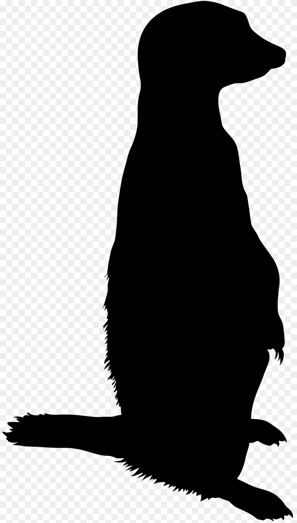 Meerkat Silhouette, Animal, Mammal, Wildlife, Bear Png