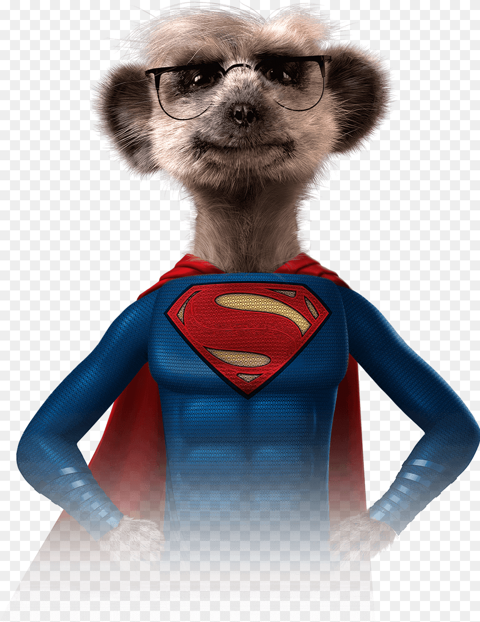 Meerkat Superhero, Person, Cape, Clothing Png