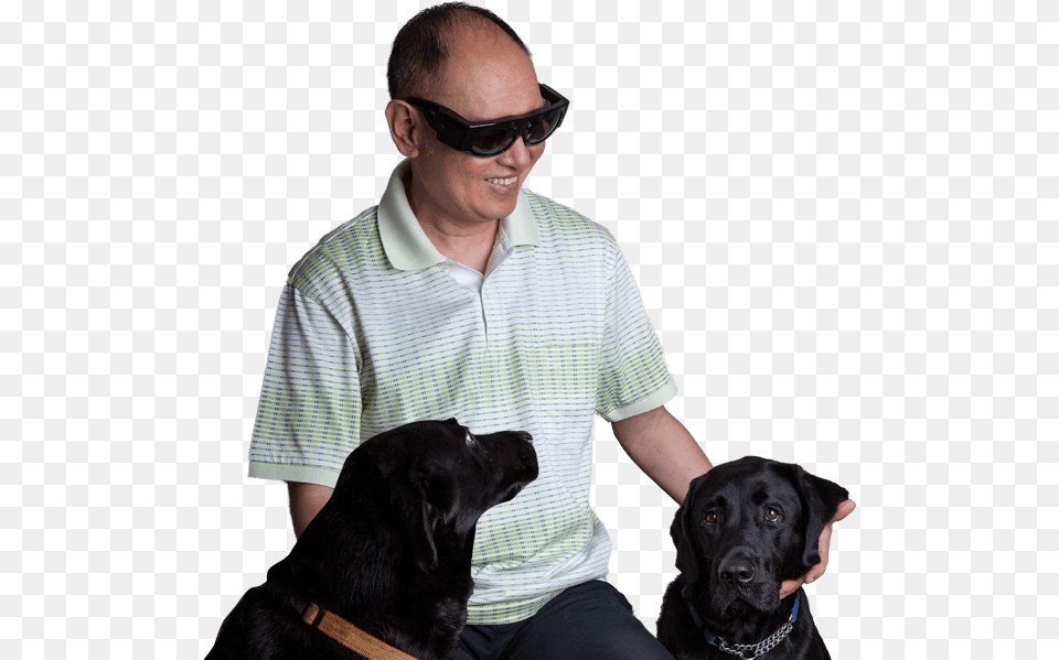 Meet Chi And Guide Dogs Pixie And Rufus Labrador Retriever, Male, Man, Labrador Retriever, Person Free Png