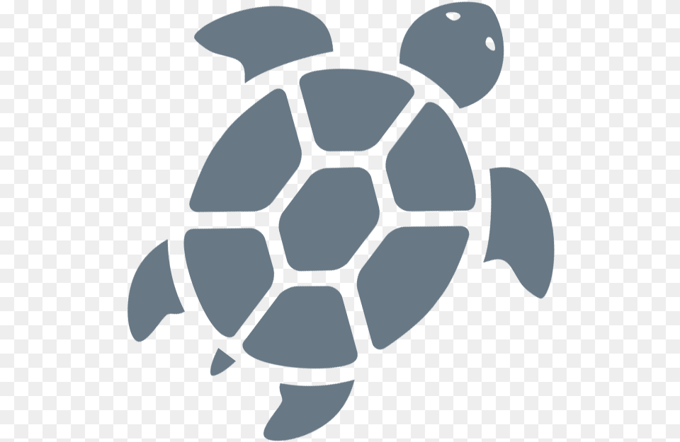 Meet Dr Vetor De Tartaruga, Animal, Reptile, Sea Life, Tortoise Png Image