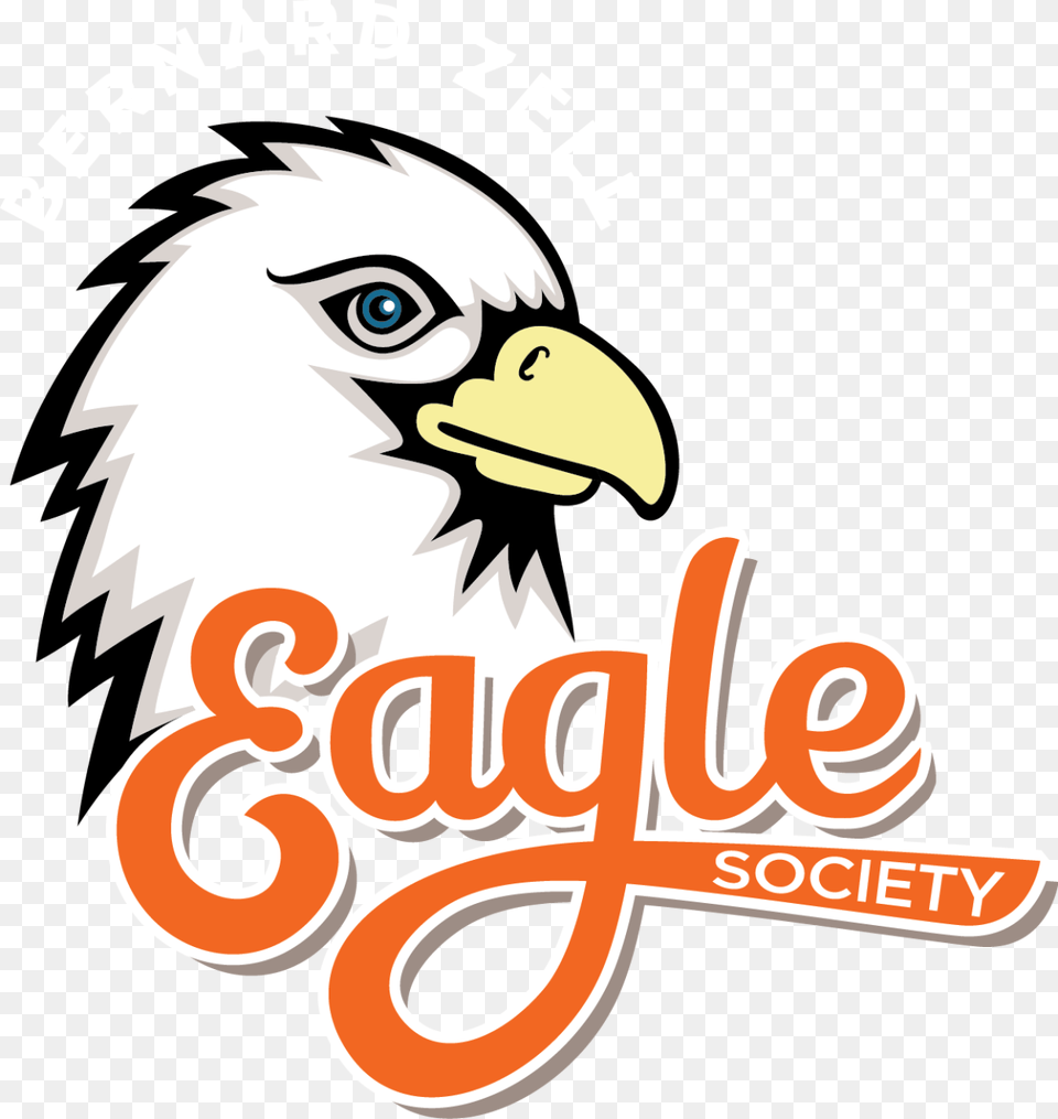 Meet Our Incredible Alumni Bald Eagle, Animal, Beak, Bird Free Transparent Png