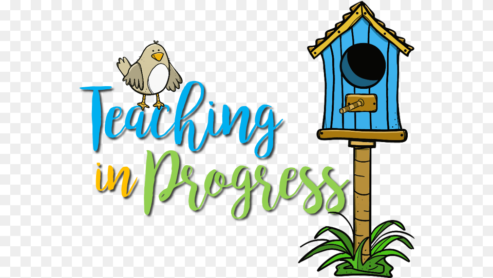 Meet Teaching In Progress Teaching In Progress, Animal, Bird, Outdoors Png