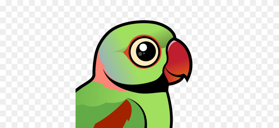 Meet The Cute Alexandrine Parakeet, Animal, Beak, Bird, Parrot Free Transparent Png