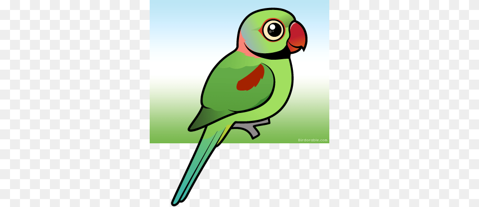 Meet The Cute Alexandrine Parakeet By Birdorable Cartoon Parrot Indian Ringneck, Animal, Bird Free Png Download