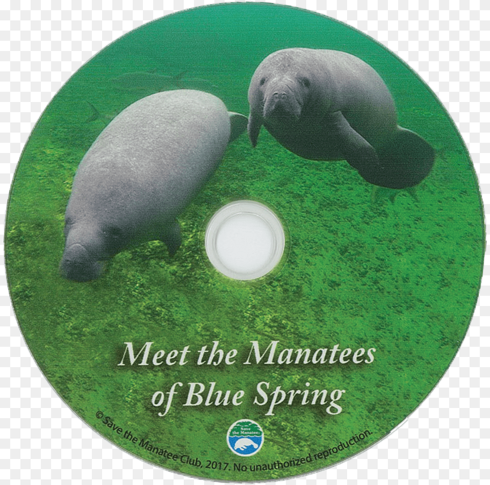 Meet The Manatees Of Blue Spring Dvd Marine Mammal, Animal, Dinosaur, Reptile, Disk Free Transparent Png