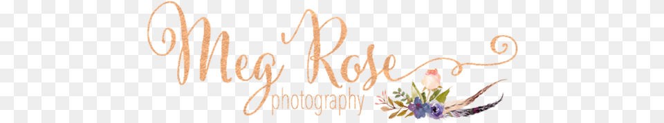 Meg Rose Photography Calligraphy, Anther, Flower, Plant, Art Png Image