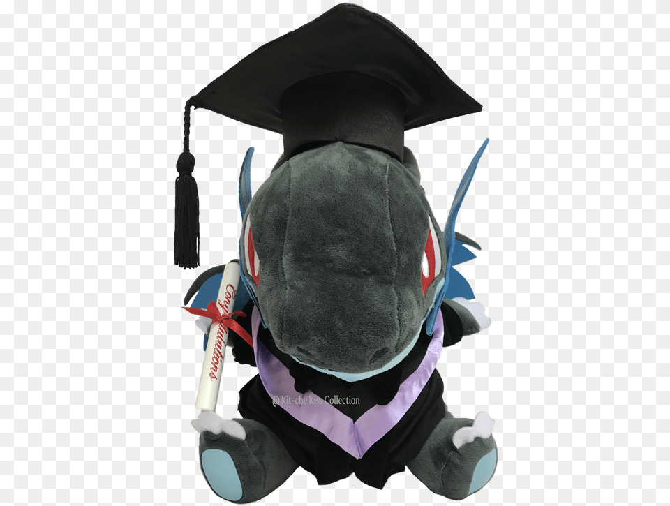 Mega Charizard X Cuhk Megax Stuffed Toy, People, Person, Graduation, Adult Free Png Download