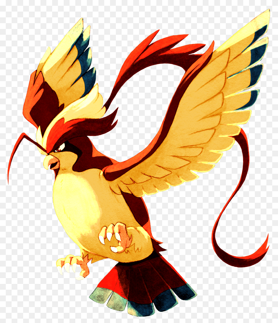 Mega Pidgeot, Animal, Bird Png