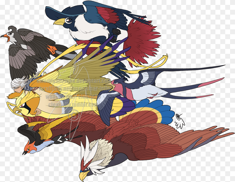 Mega Pidgeot Braviary, Art, Graphics, Animal, Bird Free Png