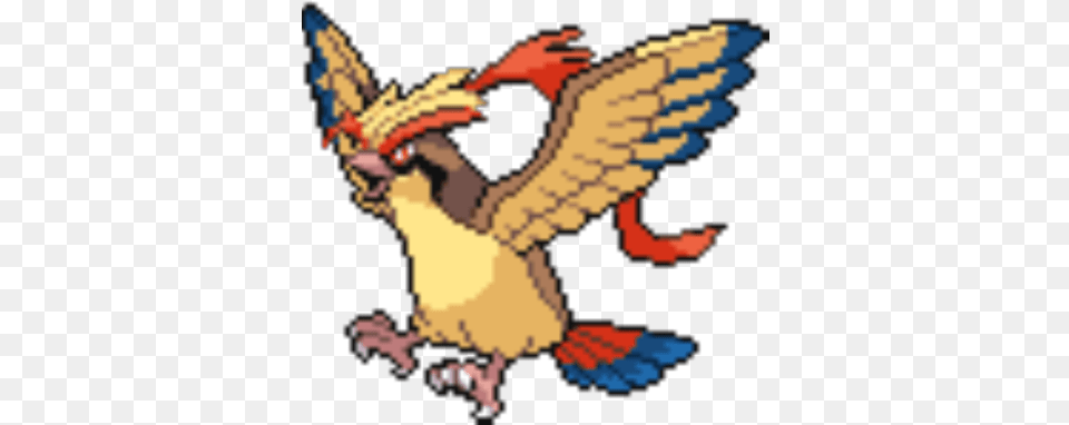 Mega Pidgeot Front Roblox, Baby, Person Free Png Download