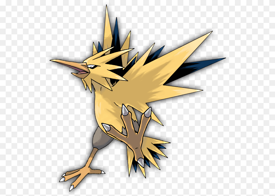 Mega Zapdos Difference Between Zapdos And Shiny Zapdos, Person Free Transparent Png