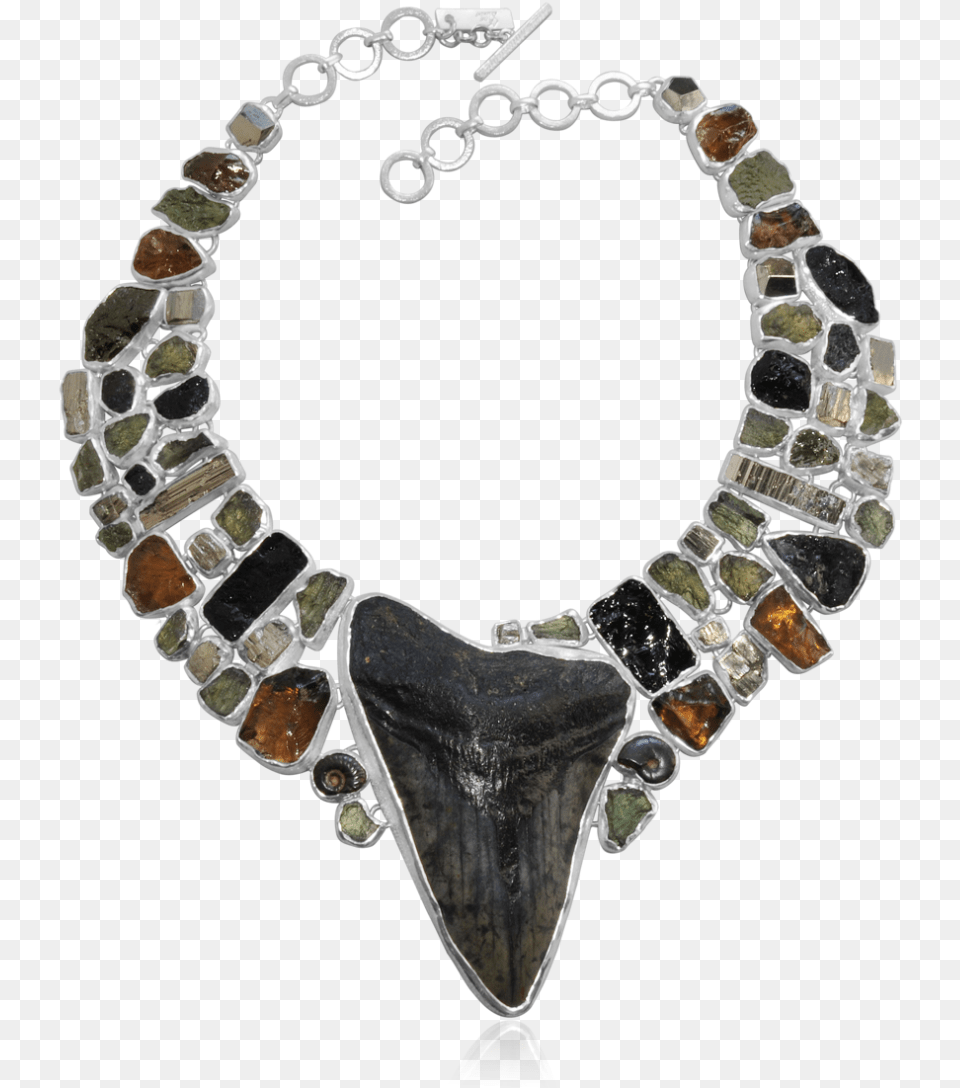 Megalodon Tooth Moldavite Pyrite Ammonite And Cognac Choker, Accessories, Jewelry, Necklace, Diamond Png