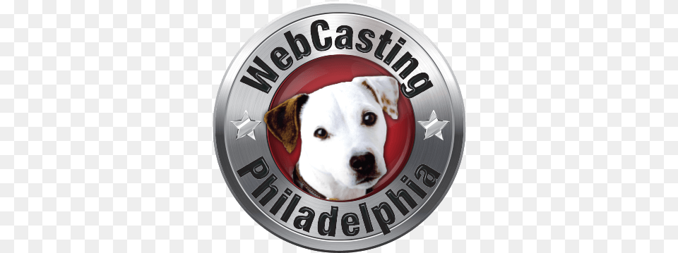 Megan Fox Wonder Woman Webcast Video Production U0026 Green Pit Bull, Animal, Canine, Dog, Mammal Free Transparent Png